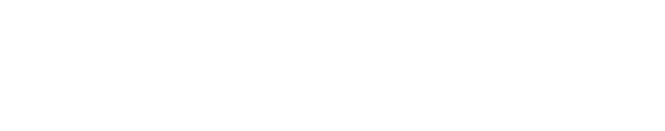 Dassault Systems SIMULIA logo