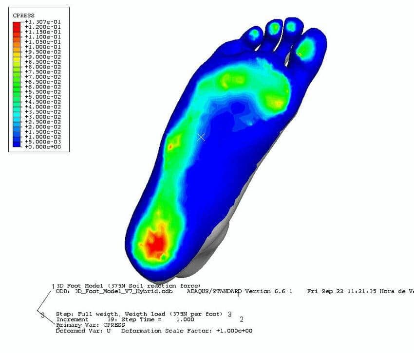 FEA analysis of plantar tissue strain during the support phases of a gait cycle