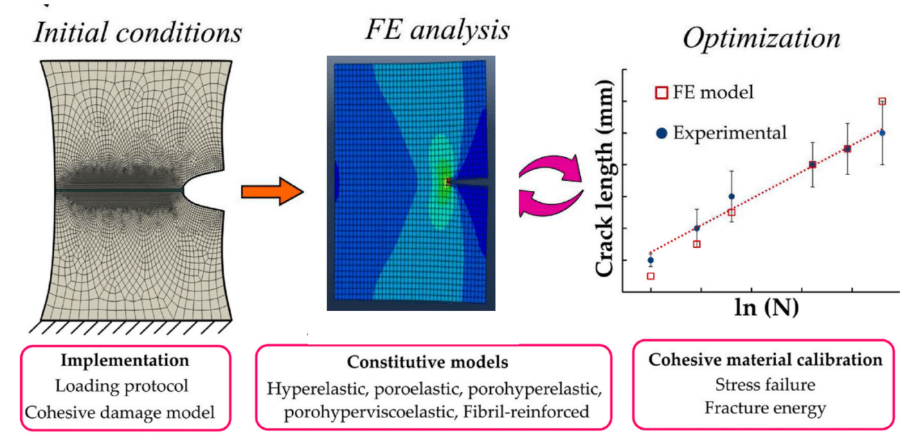Workflow of FEA for Cartilage Crack Propagation.